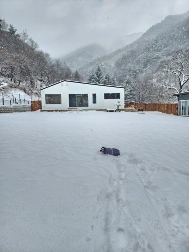 Carousel post from hb._.dachslove.