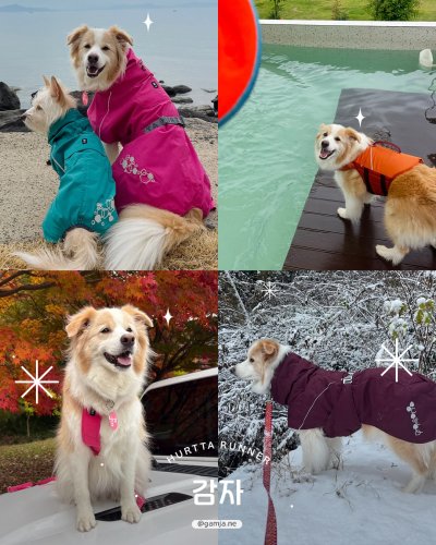 Photo post from hurttakorea.