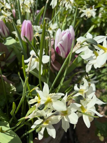 Photo post from gardenhousebrighton.