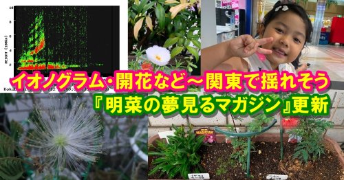 Photo post from nmomose.