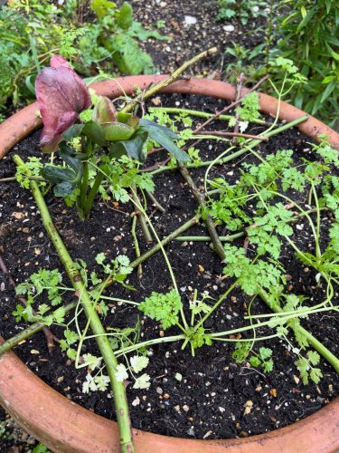 Photo post from gardenhousebrighton.