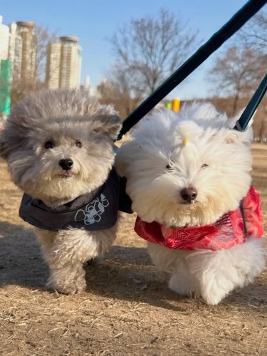 Carousel post from dino._.dary.