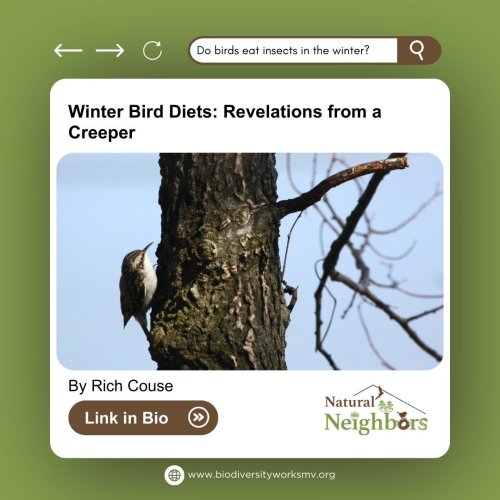 Photo post from bworksmv.