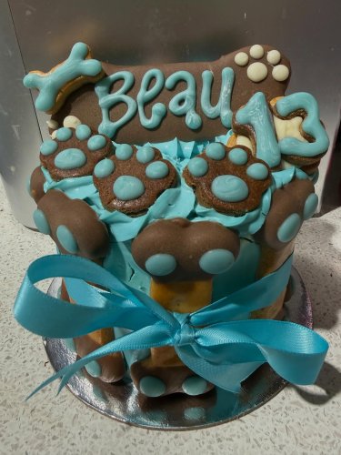 Carousel post from k9playtimedoggydaycare.