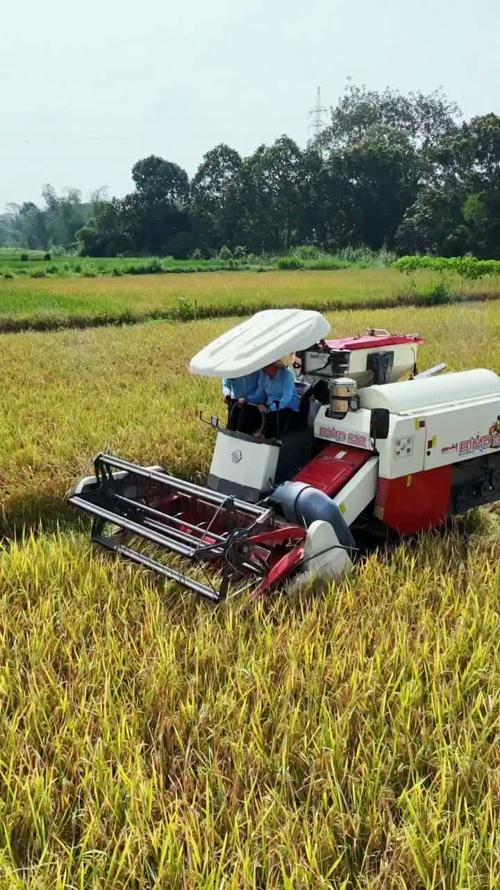 Video post from pemkotblitar.