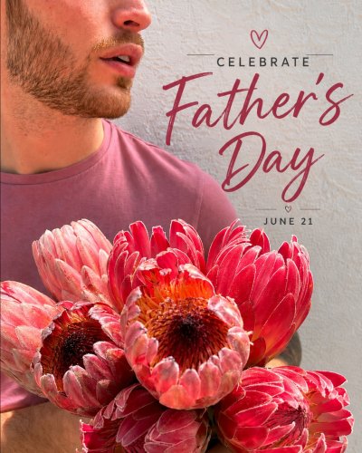 Photo post from thefamilyflowers.