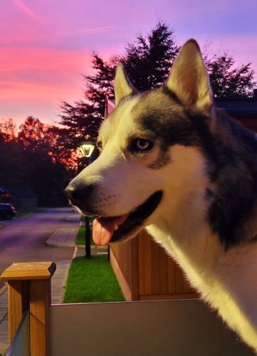 Carousel post from Dovestone Holiday Park.