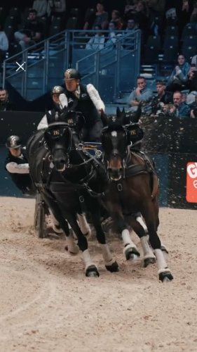 Video post from fei_global.