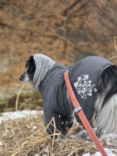 Carousel post from bbo_life_.