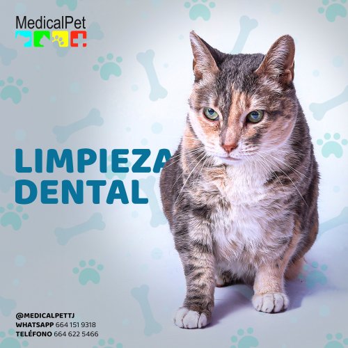 Photo post from medicalpettj.