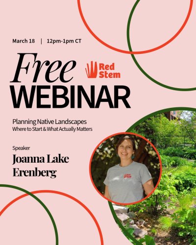 Photo post from redstemnativelandscapes.