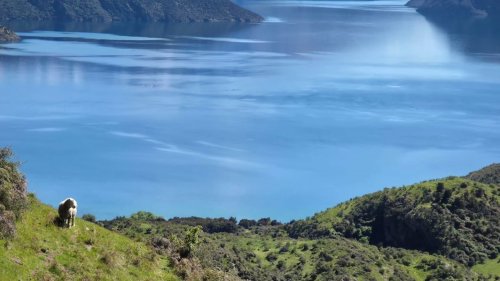 Carousel post from hungryhollowfarm.