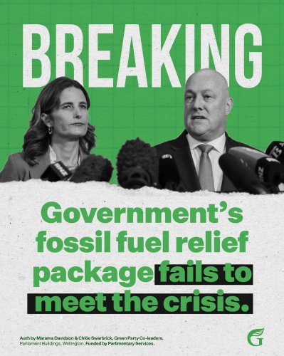 Carousel post from nzgreenparty.