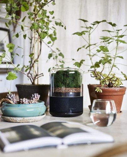 Photo post from briiv.natural.