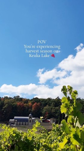 Video post from keukalakewinetrail.