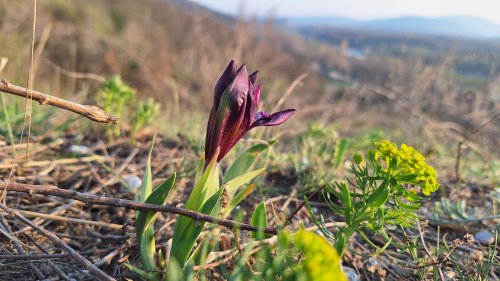 Photo post from kamzajtra.