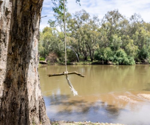 Photo post from alburycity.