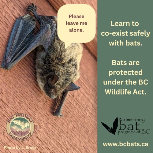 Photo post from rdosinfo.