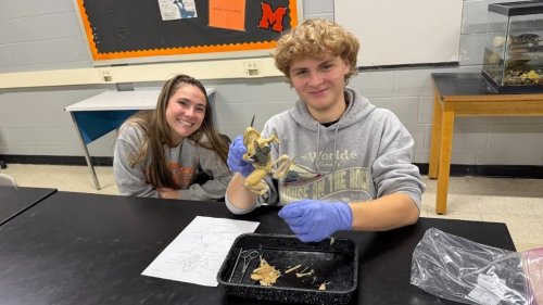 Carousel post from mchsdistrict111.