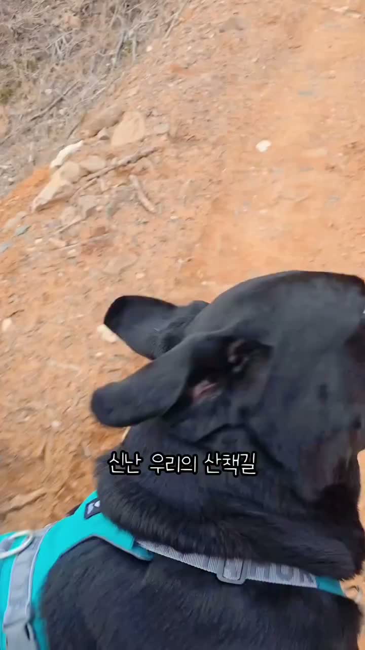 Video post from thor.st0ry.