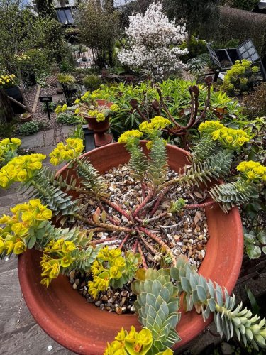 Photo post from gardenhousebrighton.