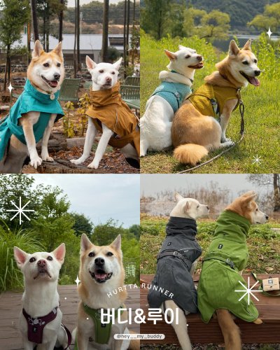 Photo post from hurttakorea.