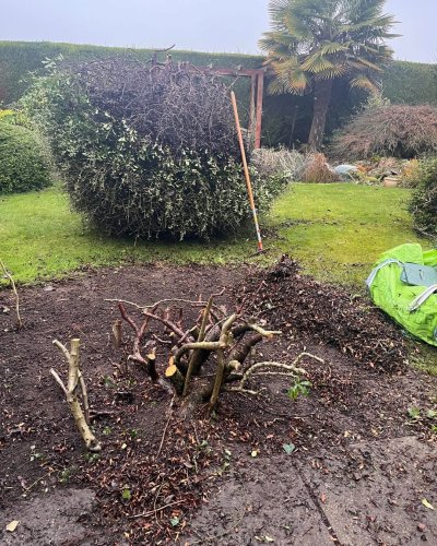 Photo post from grow_naturally_norfolk.