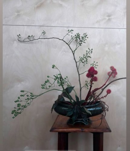 Photo post from gardenhousebrighton.