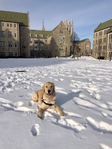 Photo post from bostoncollege.