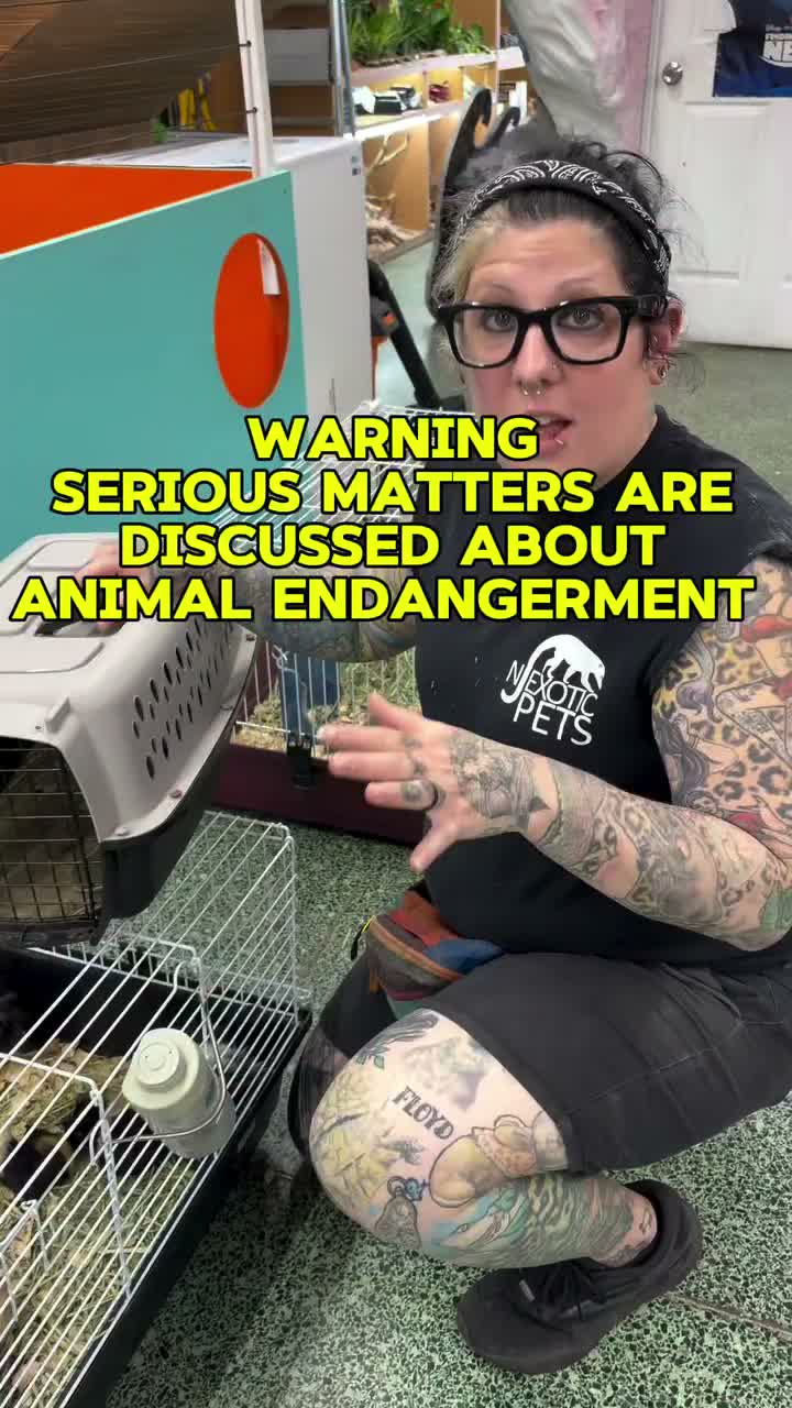 Video post from njexoticpets.