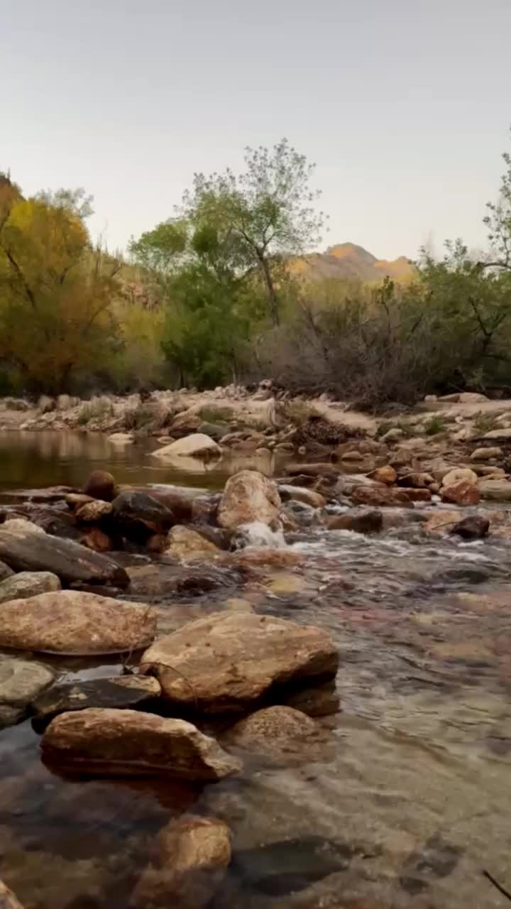 Video post from visittucson.