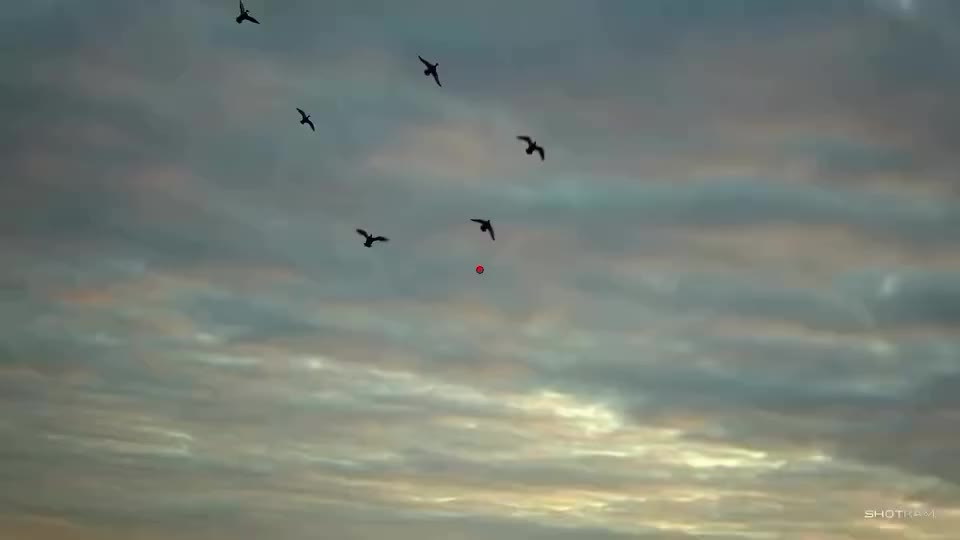 Video post from northernskiesoutfitters.