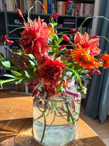 Photo post from gardenhousebrighton.