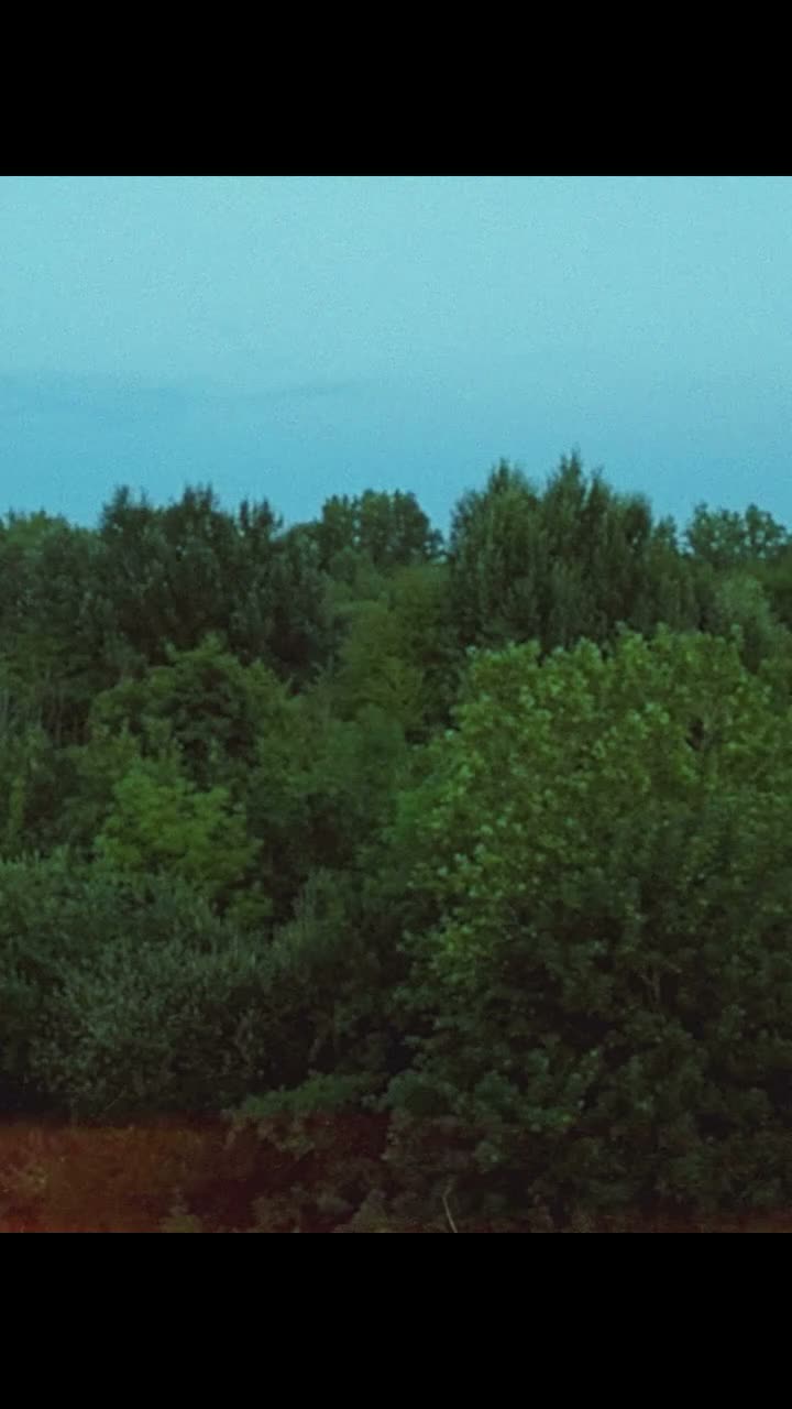 Video post from bosfeestenpeutie.