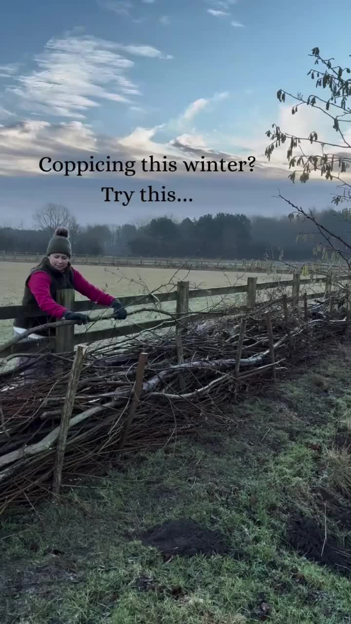 Video post from thegranarygarden.