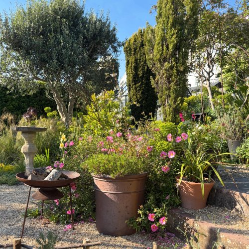 Photo post from gardenhousebrighton.