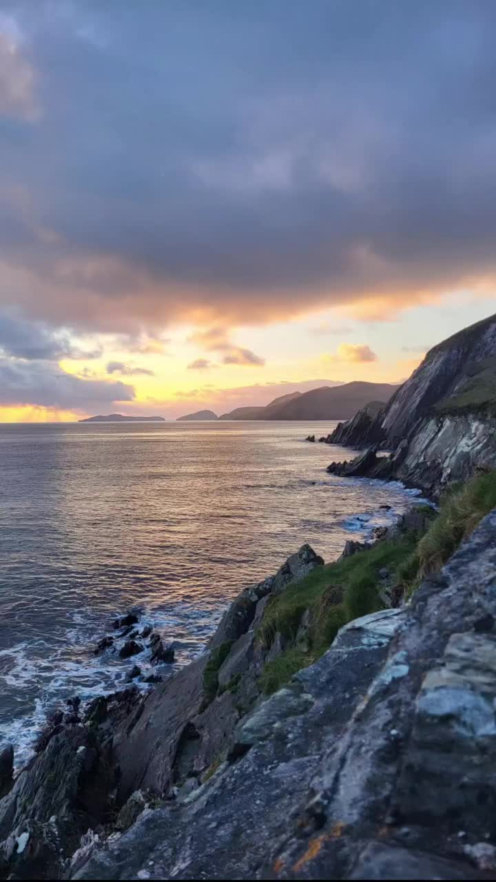 Video post from dinglepeninsulatourism.