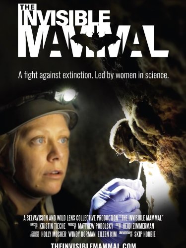 Carousel post from lightfinderpr.