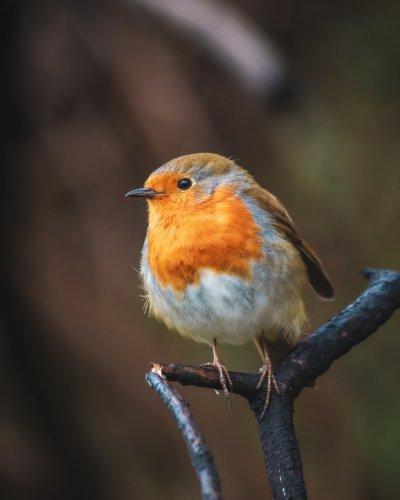 Carousel post from seed_ball.