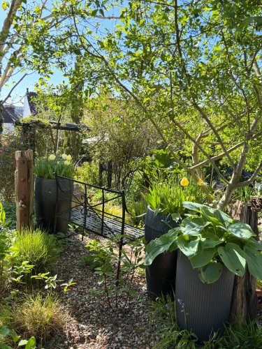 Photo post from gardenhousebrighton.