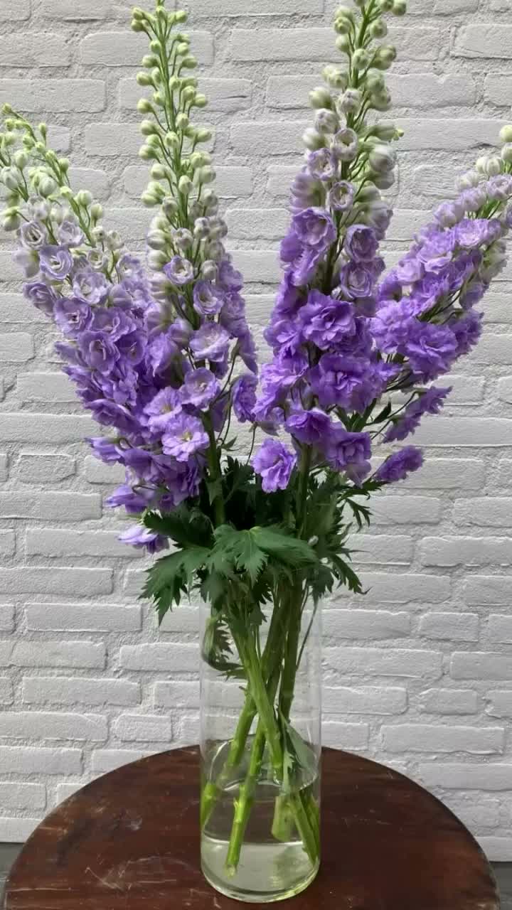Video post from dellemannbloemen.