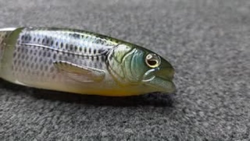 Video post from garrettscustoms.