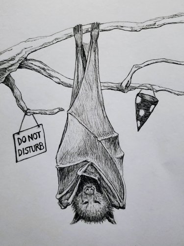 Photo post from twistybat.