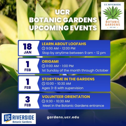 Photo post from ucrbotanicgardens.