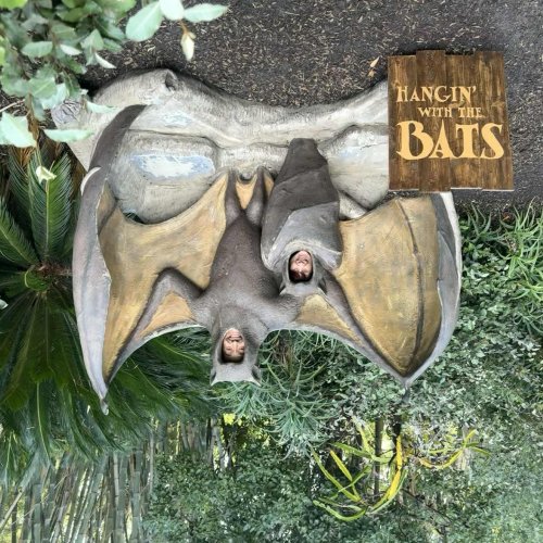 Photo post from cinebeth.