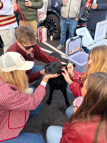 Photo post from bostoncollege.