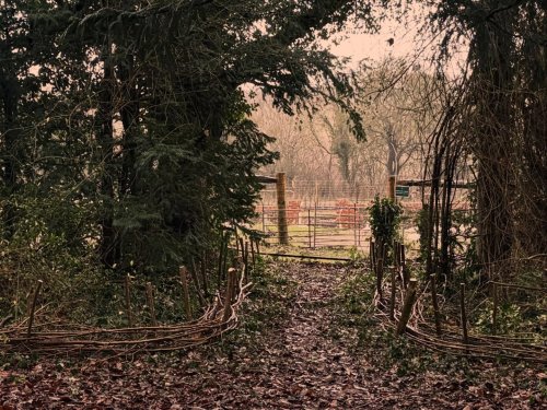 Photo post from natures_canvasuk.