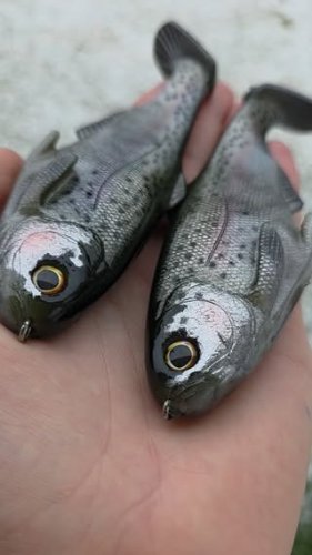 Video post from garrettscustoms.