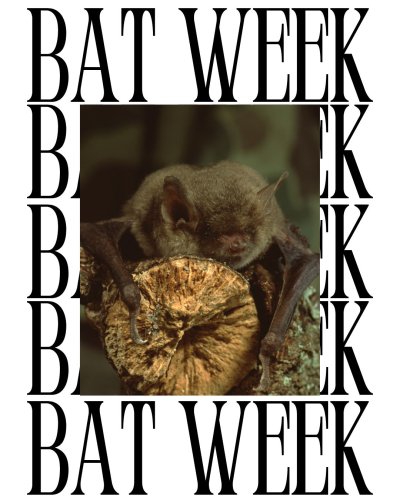 Photo post from iscbc.