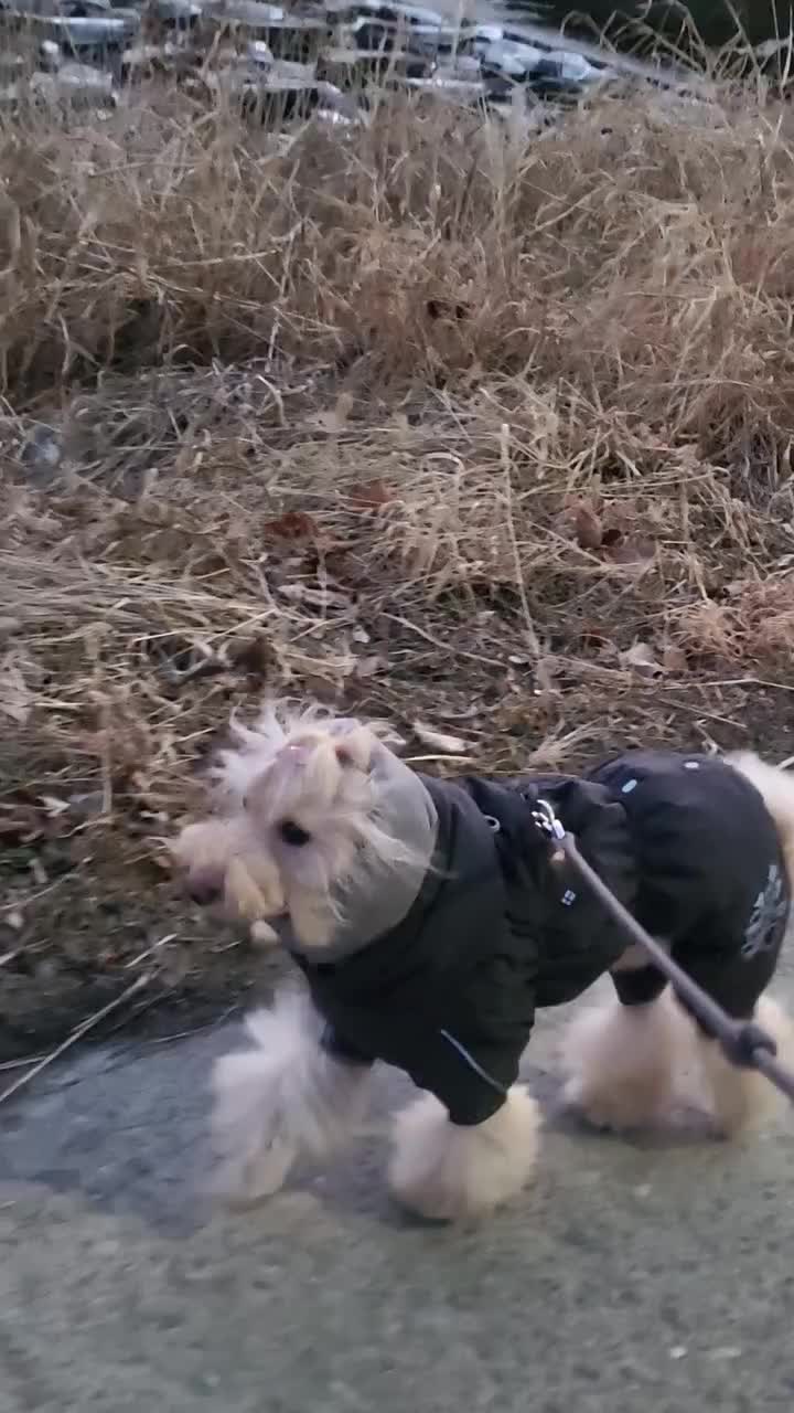 Video post from bon_bon_718.